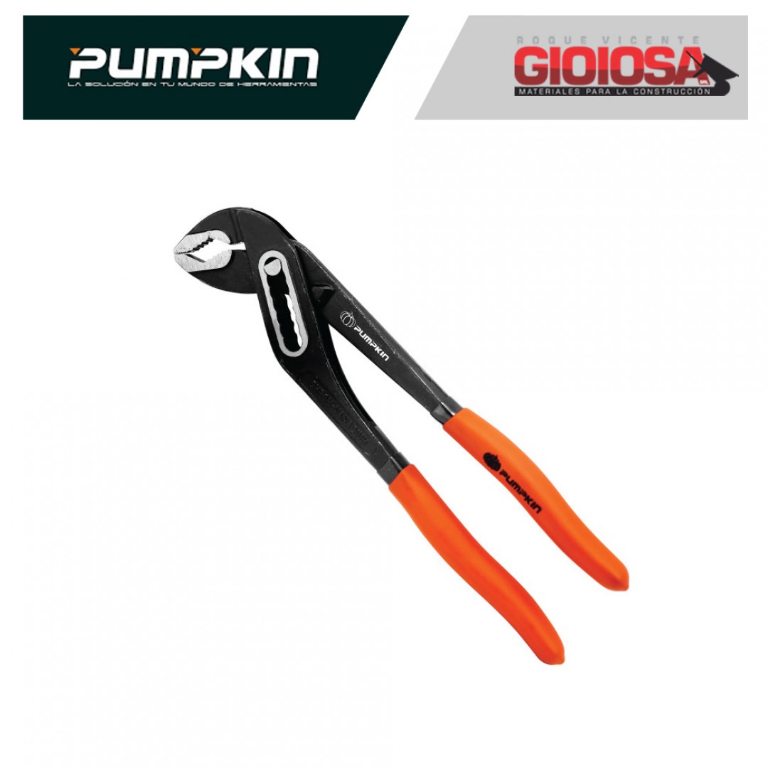 pumpkin-pinza-pico-loro-10-