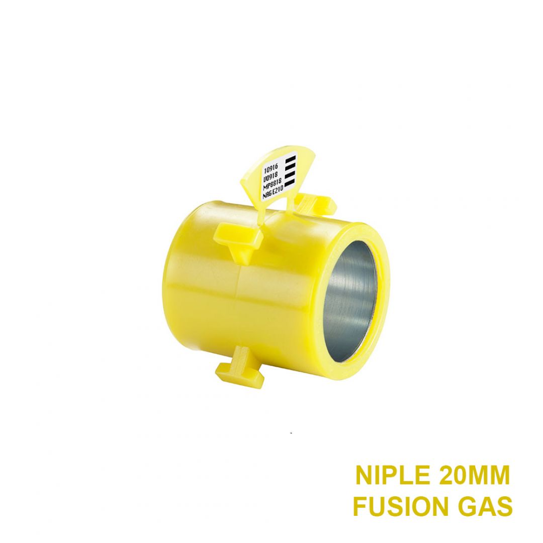 fg-niple-entre-fusion-20