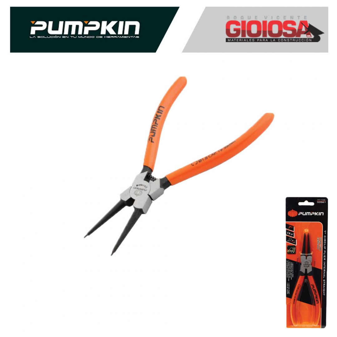 pumpkin-pinza-seeger-recta-int