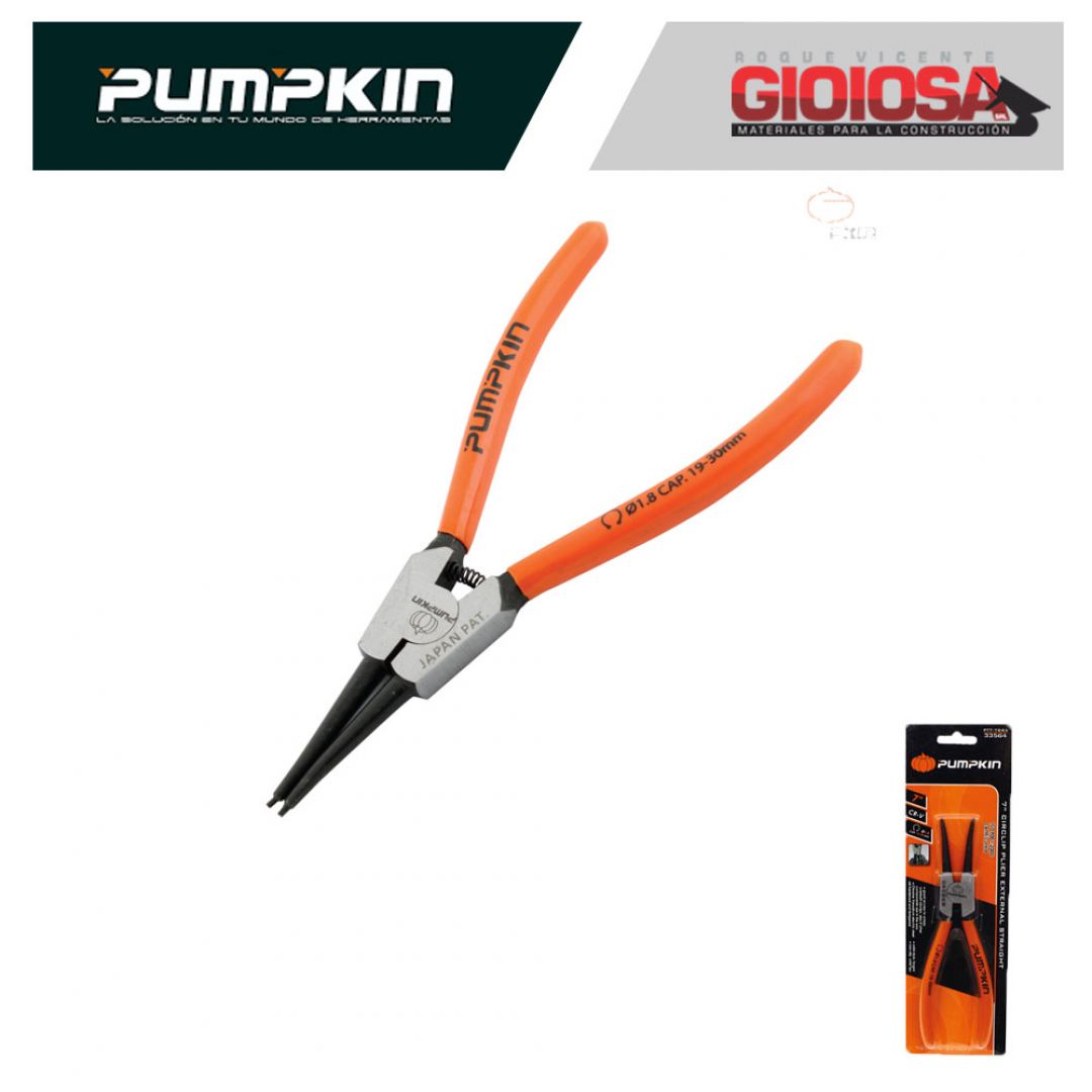 pumpkin-pinza-seeger-recta-ext